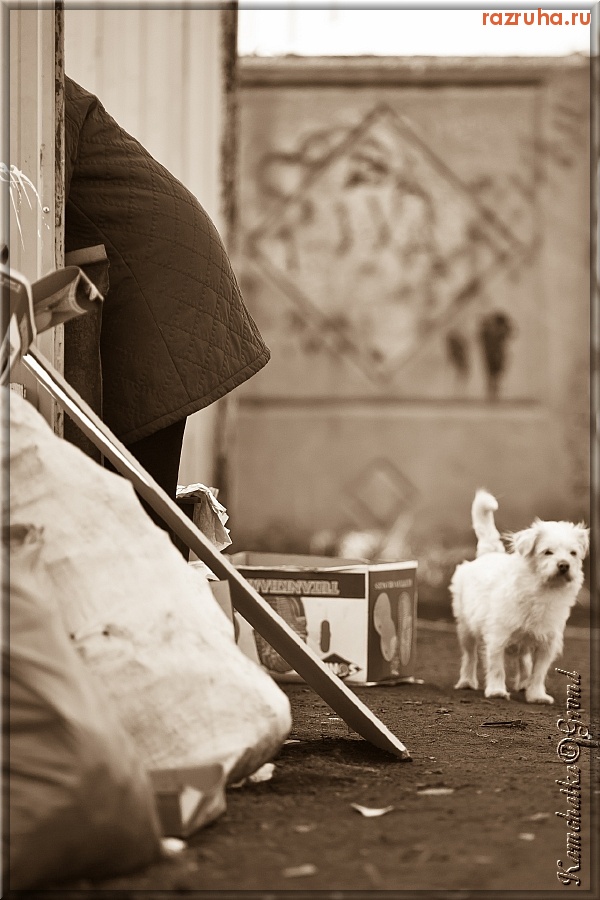 Петропавловск-Камчатский - Есть чё?? (часть 2)