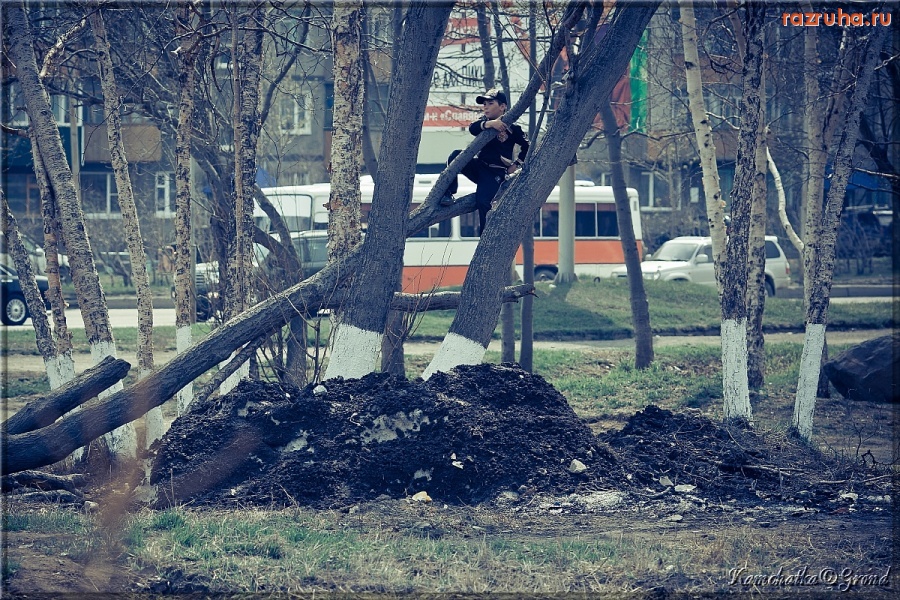 Петропавловск-Камчатский - Про наше лето :)