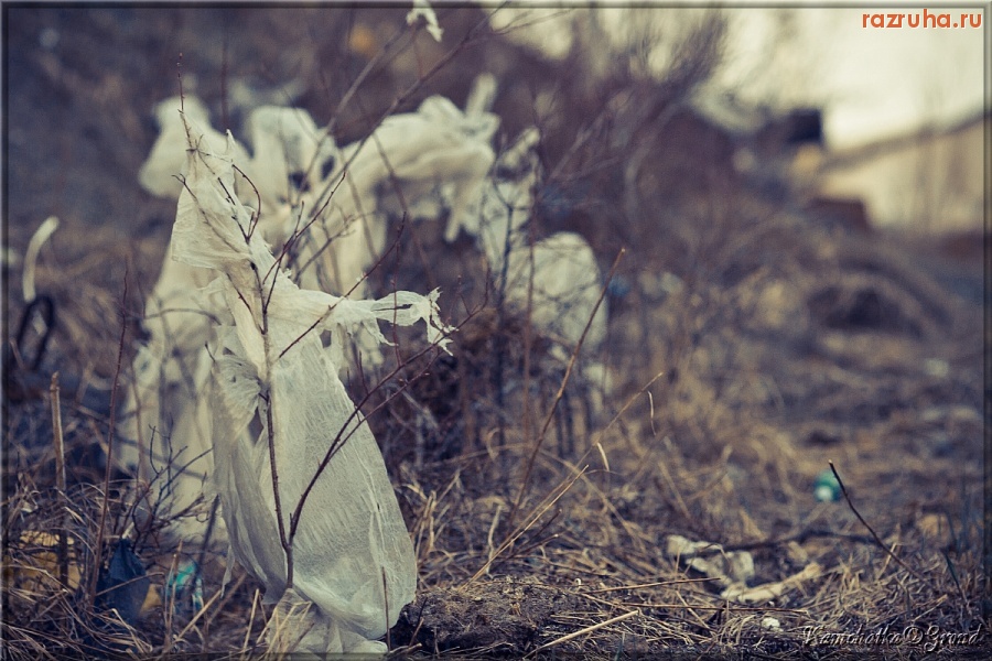 Петропавловск-Камчатский - Лирика :)