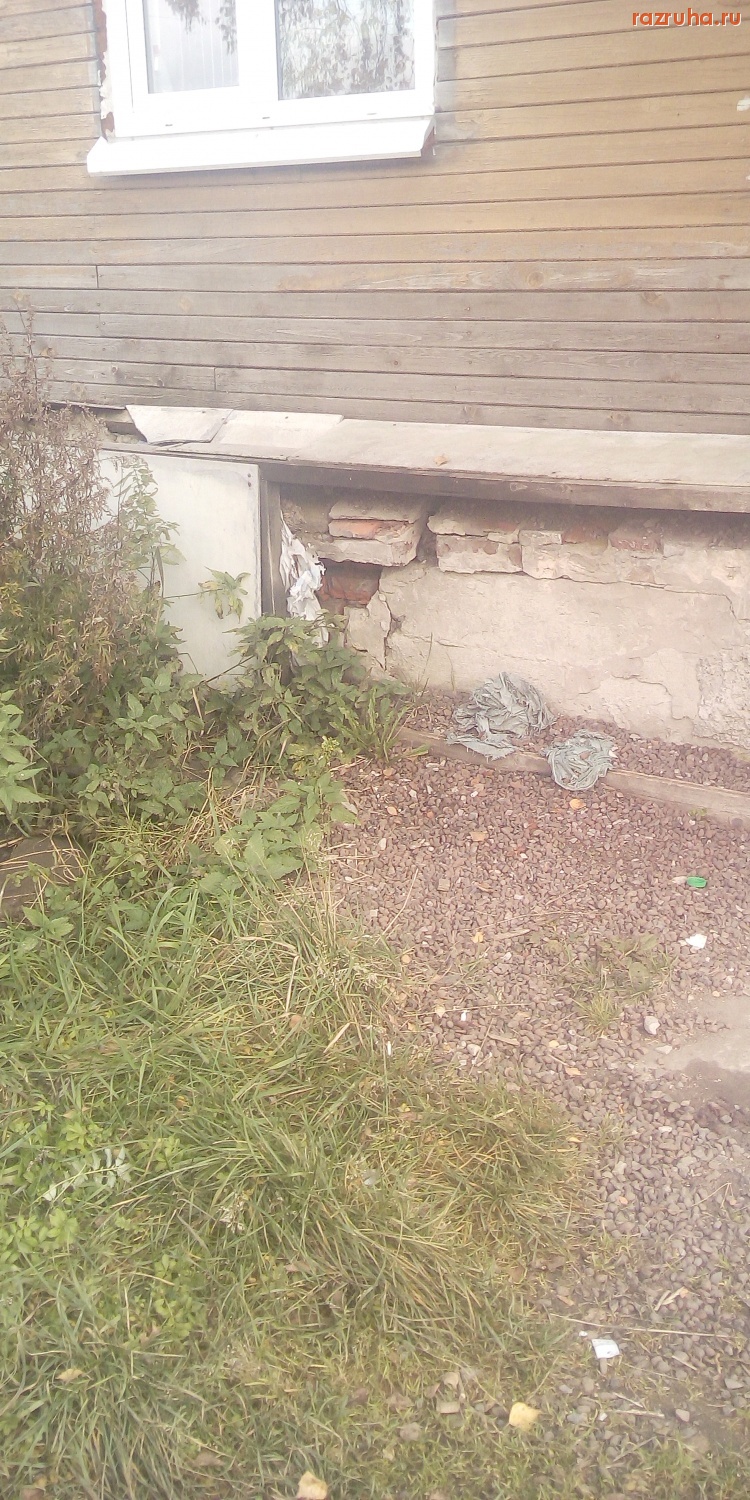 Петрозаводск - Муезерская д 59