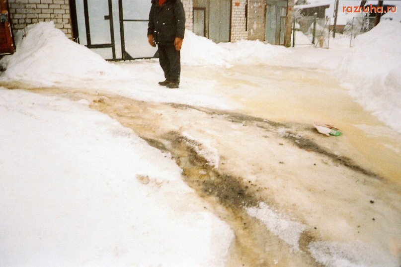 Сортавала - житель Лесной