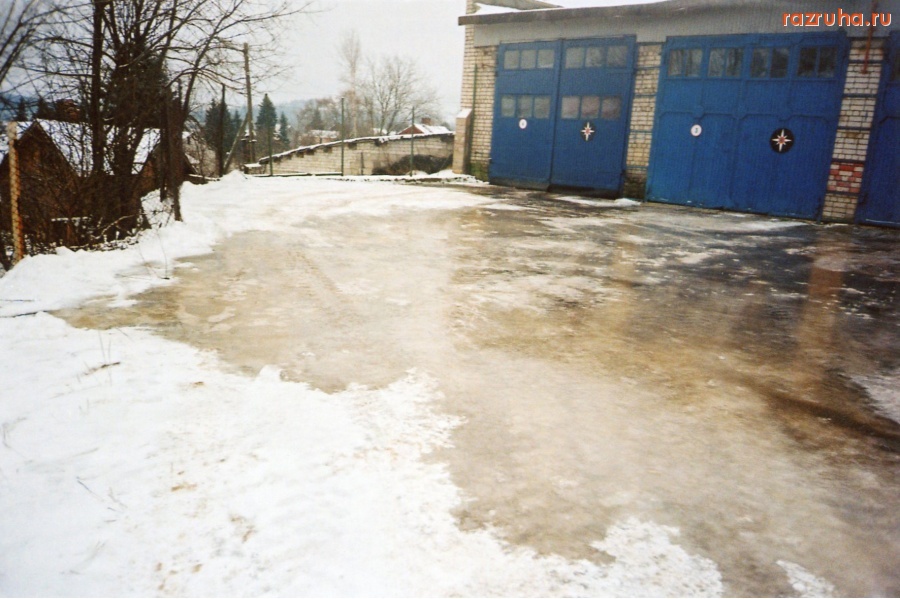 Сортавала - житель Лесной