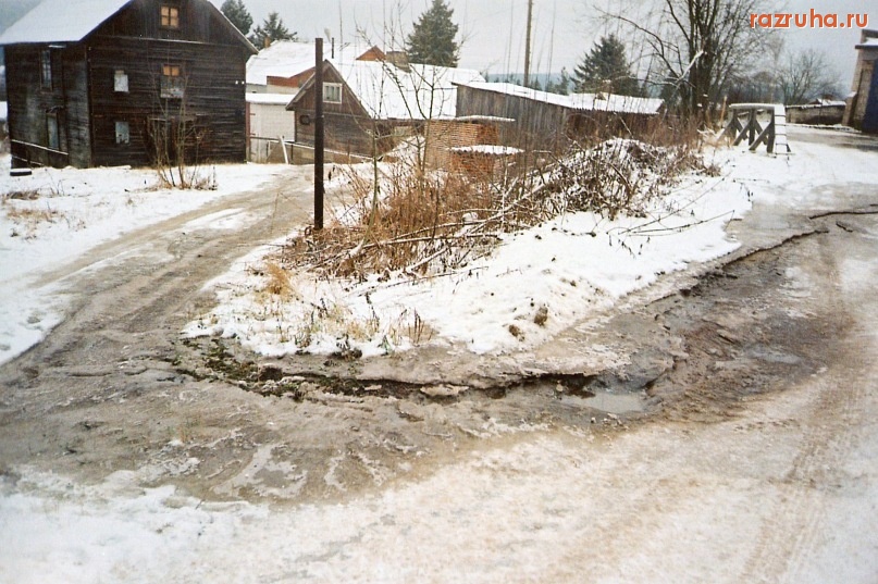 Сортавала - житель Лесной