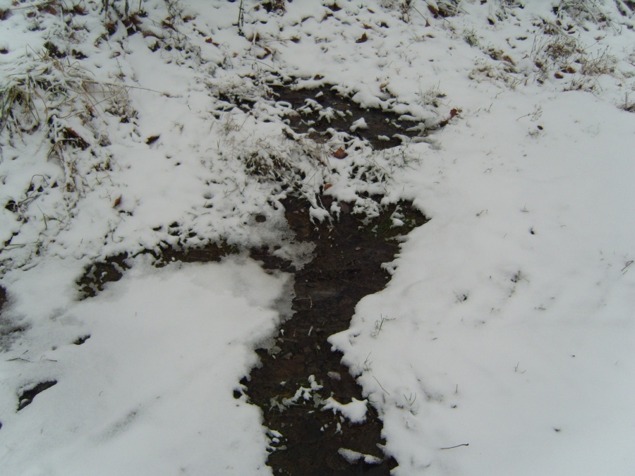 Сортавала - потоп номер 2