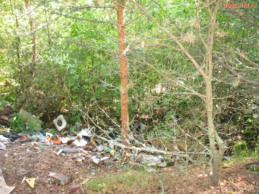 Питкяранта - Спасибо предкам за яму под мусор