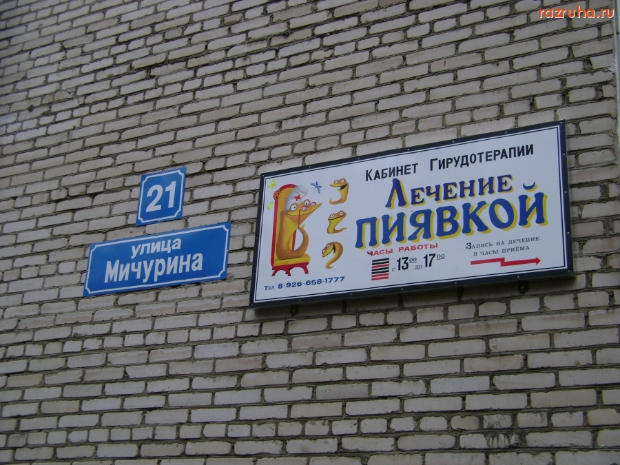 Дубна - Заходите к нам лечиться...