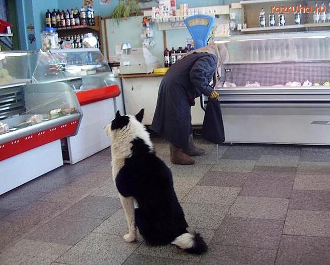 Вяртсиля - в магазине поселка