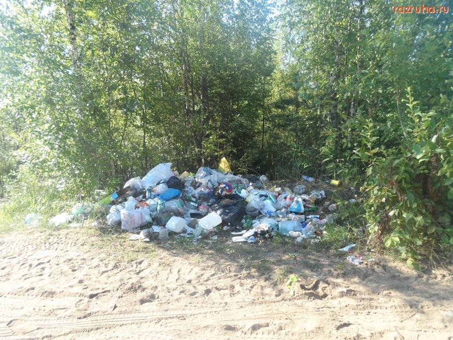 Ленинградская область - Мусор на карьерном озере.