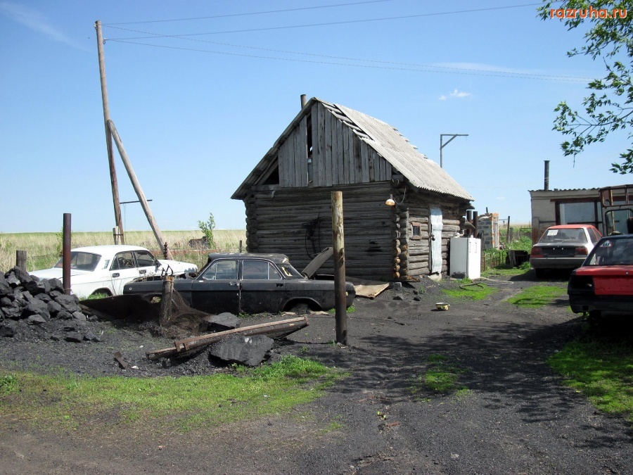 Кемеровская область - Богатый двор-Лампочка Ильича и днем светит..