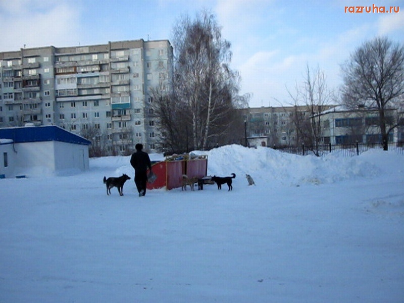 Киселевск - Братья меньшие