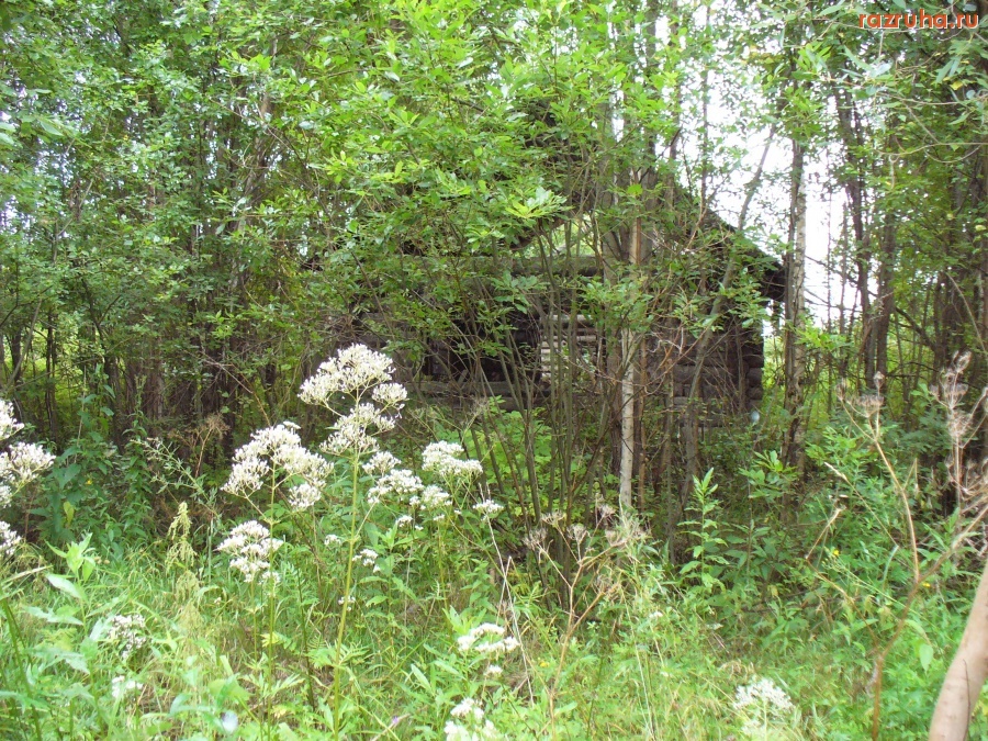 Зуевка - Деревни Зуевского района