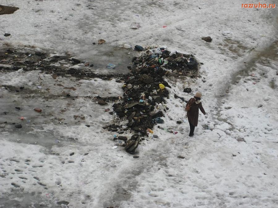 Ивантеевка - Мусор под окнами Администрации Ивантеевки