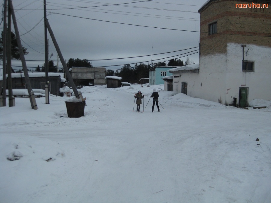Троицко-Печорск - Лыжня.