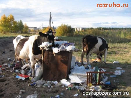 Усогорск - безхозяйство