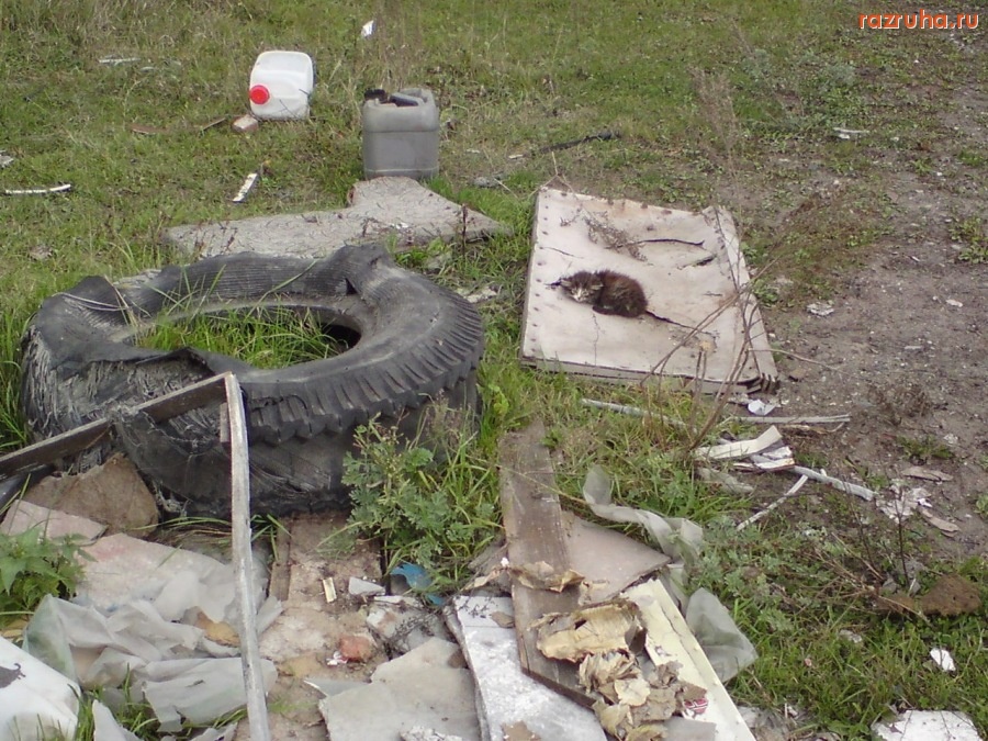 Коломна - Вот такая жизнь!