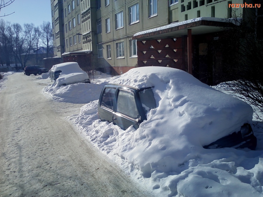 Нерехта - Подснежники