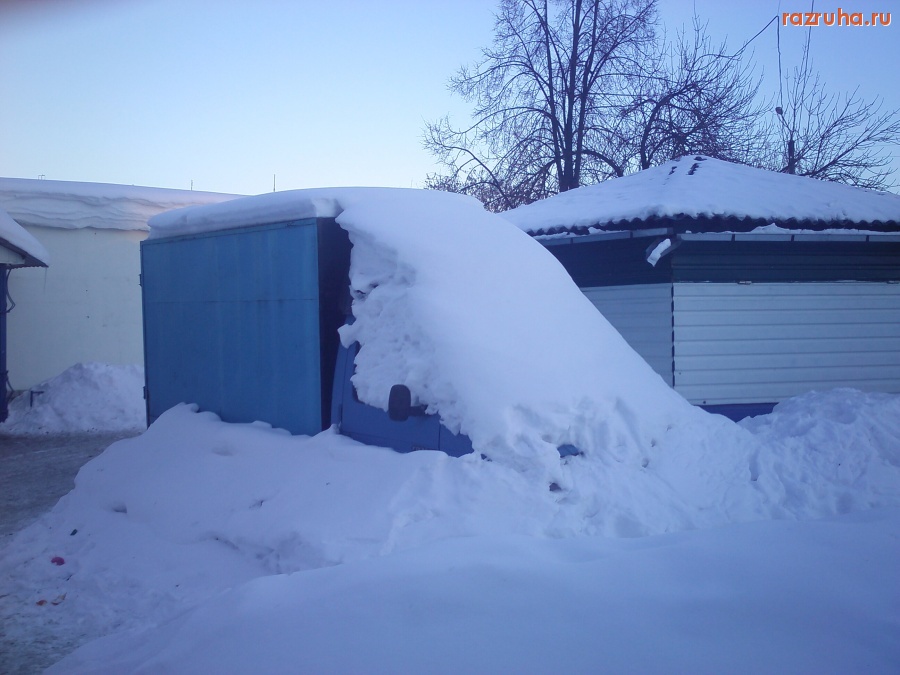 Нерехта - Подснежники