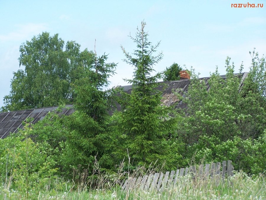Мантурово - Наш бывший дом. Ещё стоит. Лето 2009. Д.Макарово