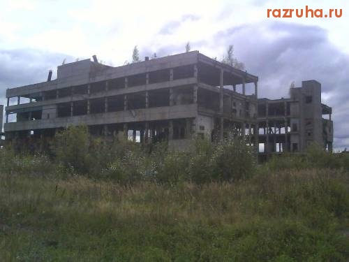 Мантурово - Разрушенный завод - 5