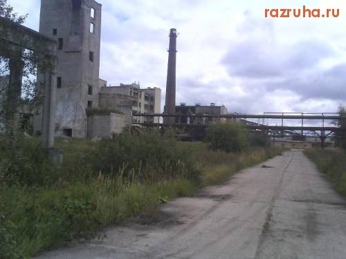 Мантурово - Разрушенный завод - 6