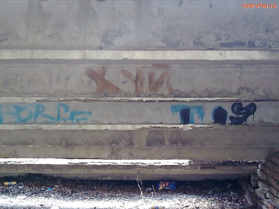 Королев - Лицо русского мата под трибуной