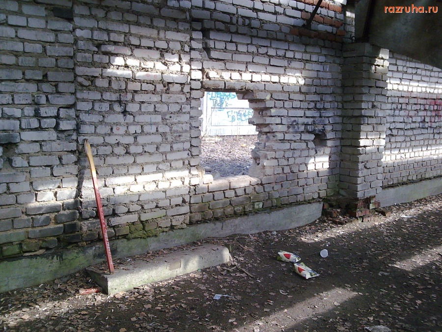 Королев - Подтрибунная дырка