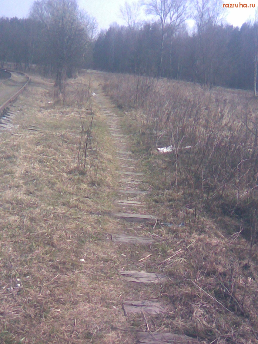 Королев - Болшево -- Торфопредприятие - 23