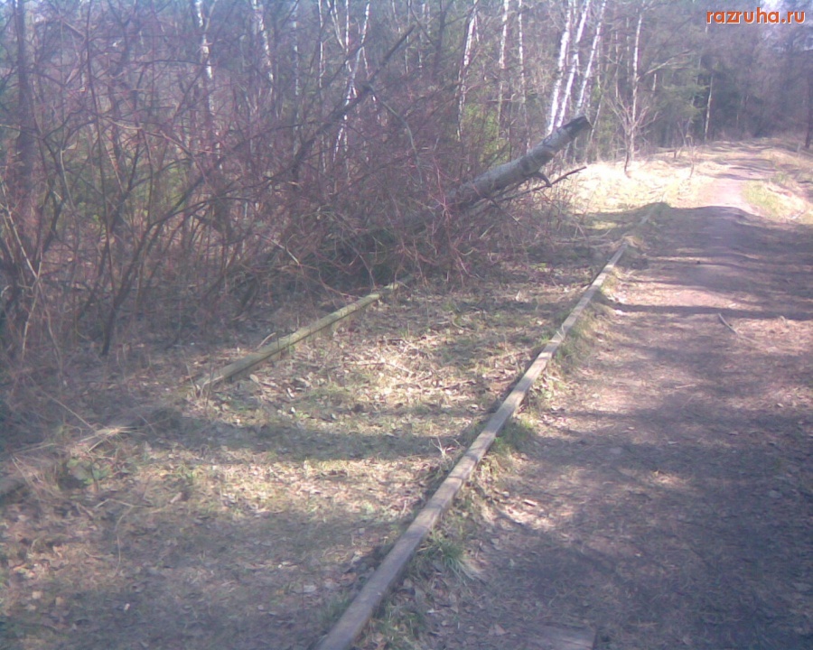 Королев - Болшево -- Торфопредприятие 31