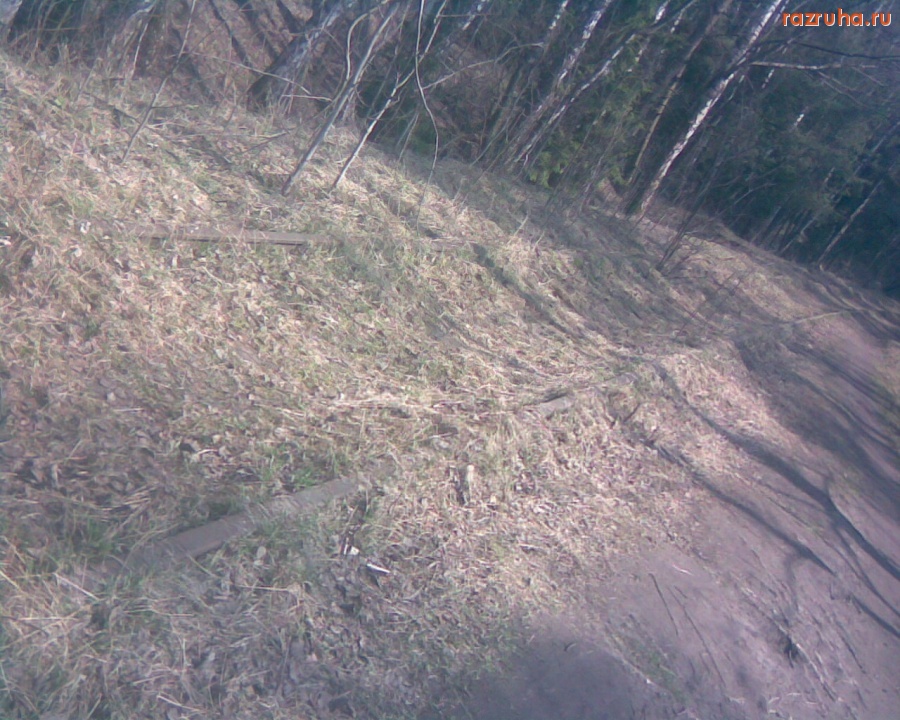 Королев - Болшево -- Торфопредприятие 32