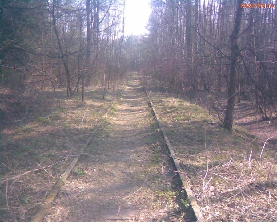 Королев - Болшево -- Торфопредприятие 33