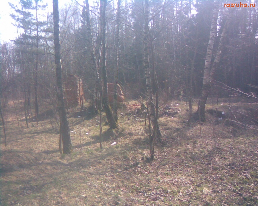 Королев - Руины в Лосином Острове