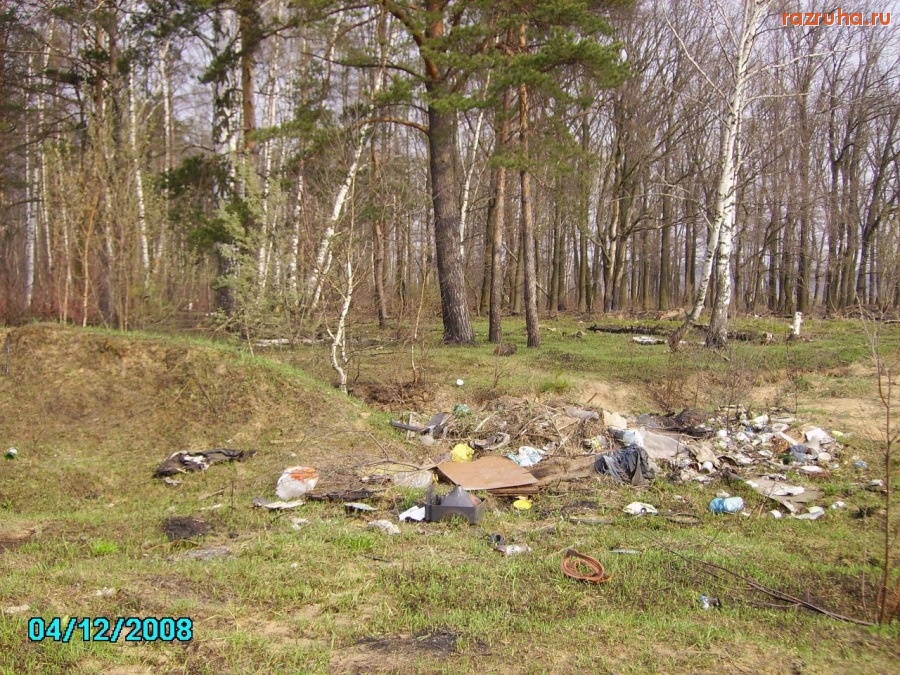 Красково - В лесу