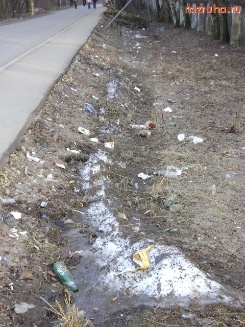 Красногорск - Санитарная рубка