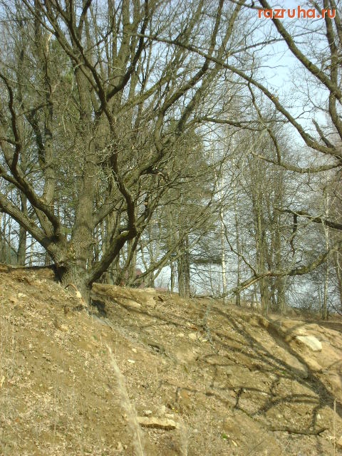 Красногорск - жертвы новой лыжной трассы