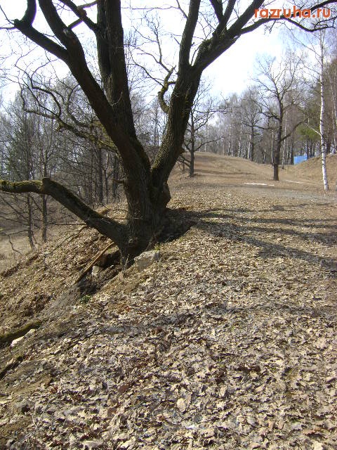 Красногорск - жертвы новой лыжной трассы
