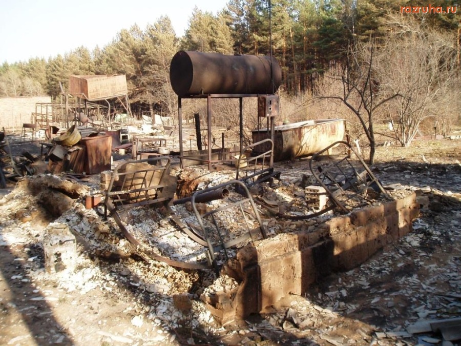 Минусинск - пожар в Минусинском бору