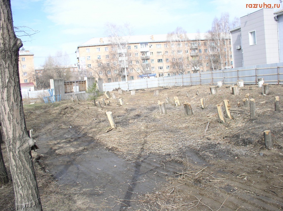 Назарово - Кто пеньки?!