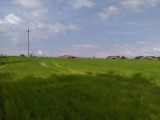 Курская область - Заброшенная ферма