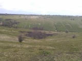 Курская область - Сгоревшая трава