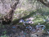 Курская область - Унитазы и мусор в болоте