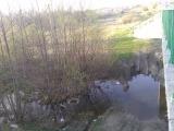 Курская область - Брод под мостом