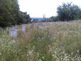 Курская область - Заброшенное кладбище