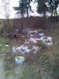 Курская область - Накидали мусора
