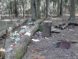 Орехово-Зуево - Последствия чьих-то посиделок в Парковском лесу