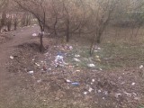 Электроугли - мусор на пересечении Полевой и Центральной
