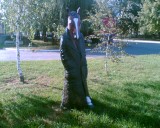 Смешное - Конь в пальто