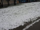 Погода - 23 апреля в Москве выпал снег