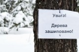 Украина - Берегите лес.