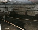 Рыбная Слобода - Болото