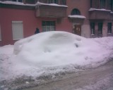 Санкт-Петербург - Подснежники